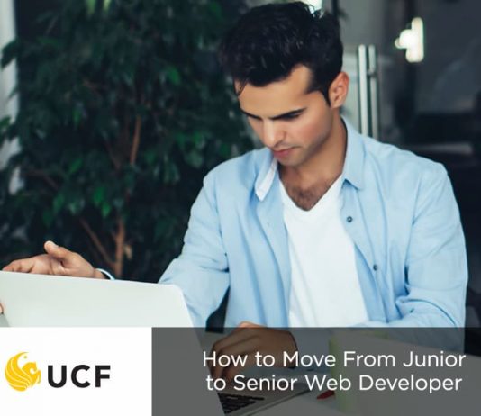 Senior web developer