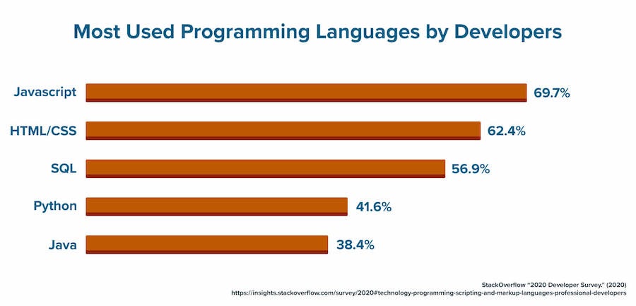 A bar graph that displays the programming languages most used by developers.