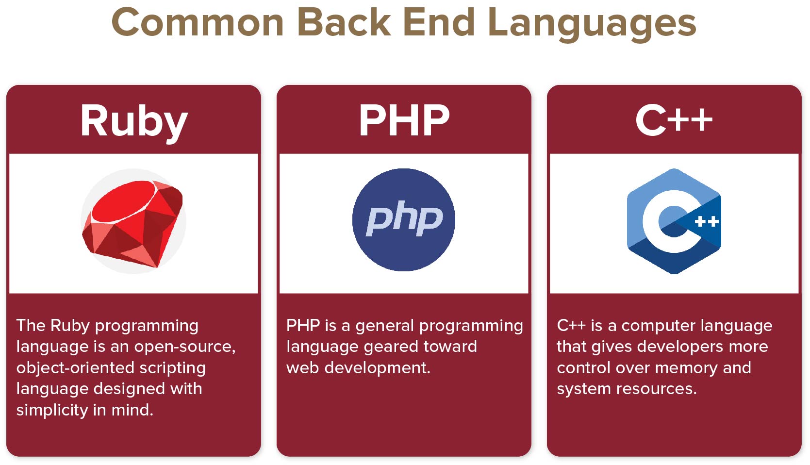 An image highlighting the three common back end languages mentioned in the article.